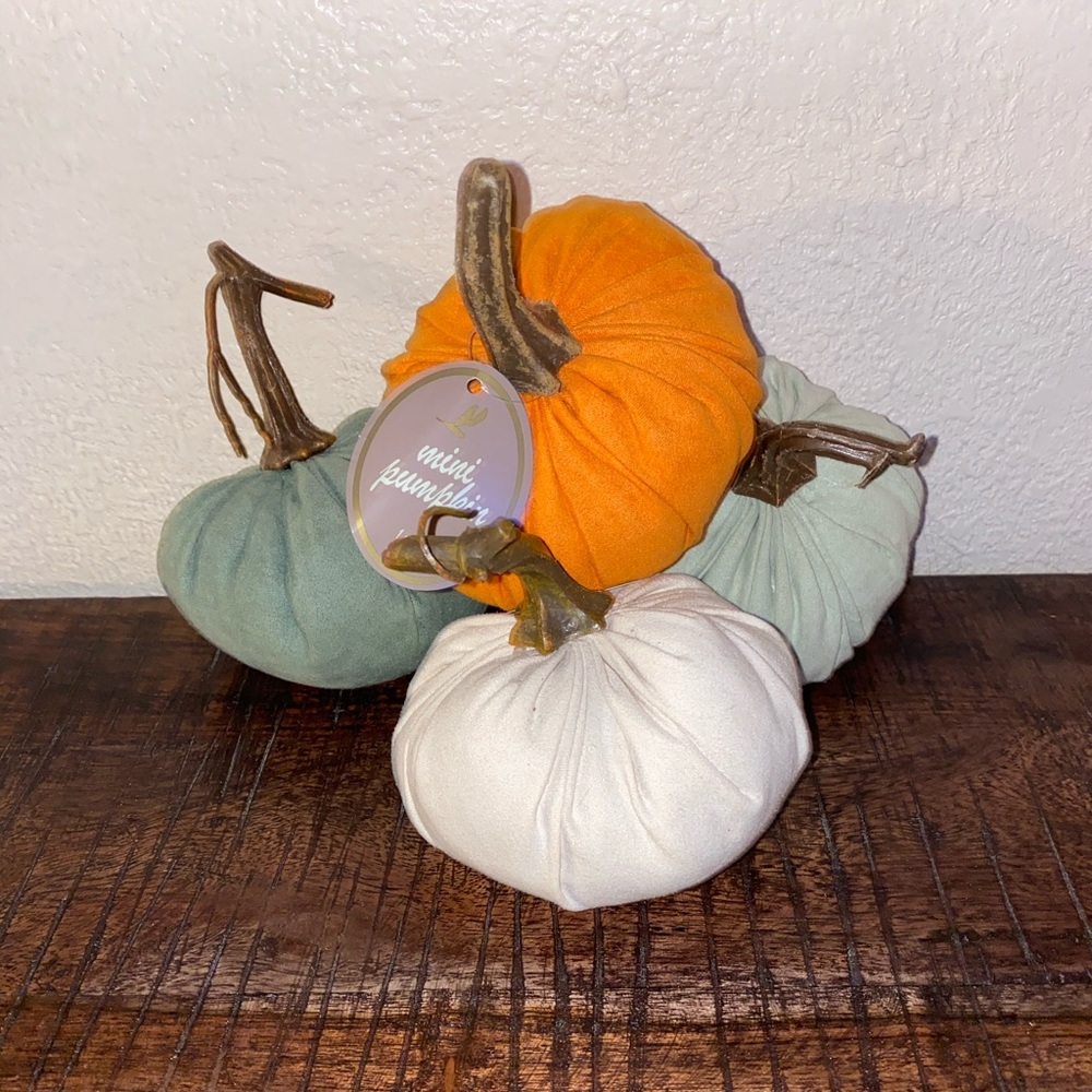 Mini pumpkins
